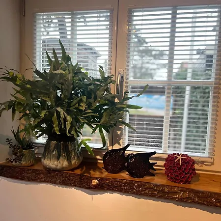 Gasthuis 44 - Free Parking! Zandvoort