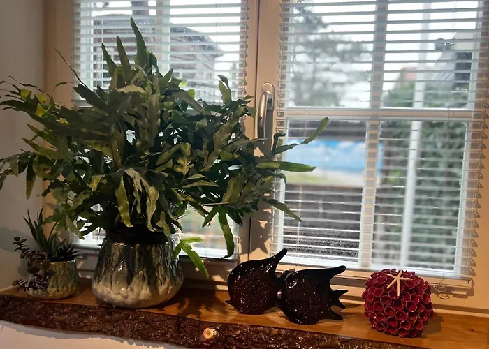 Gasthuis 44 - Free Parking! Zandvoort