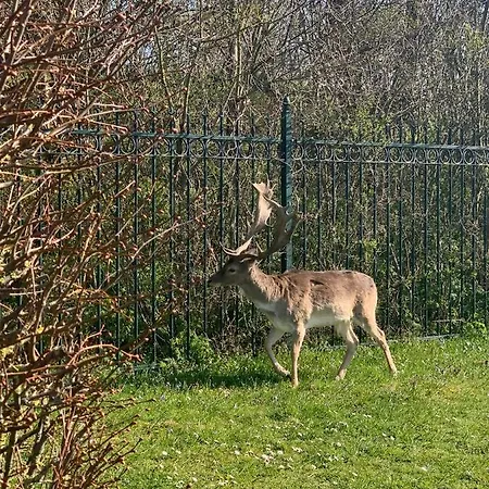 44 - Free Parking! بيت ضيافة