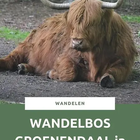 44 - Free Parking! بيت ضيافة 4*