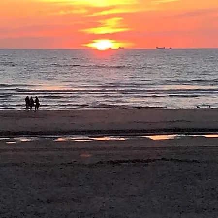 44 - Free Parking! Penzion Zandvoort
