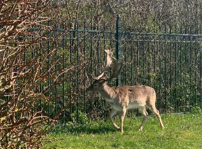 44 - Free Parking! Gasthuis