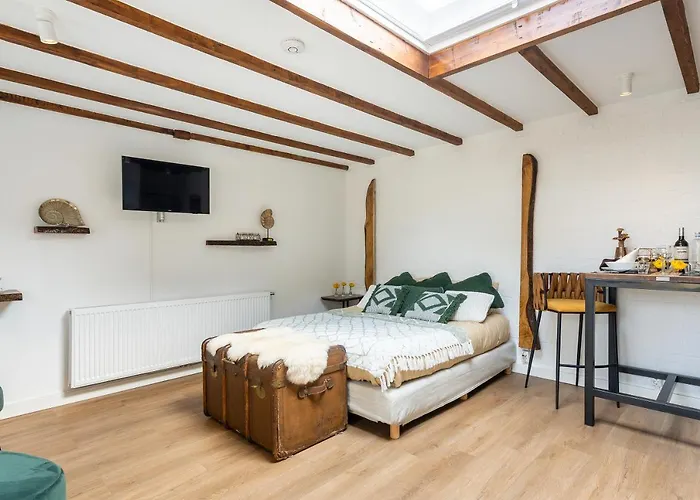 44 - Free Parking! Gasthuis 4*