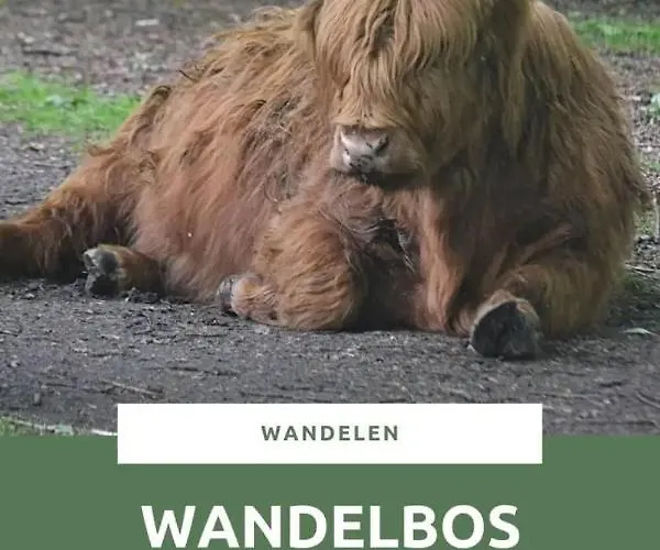 44 - Free Parking! Gasthuis 4*